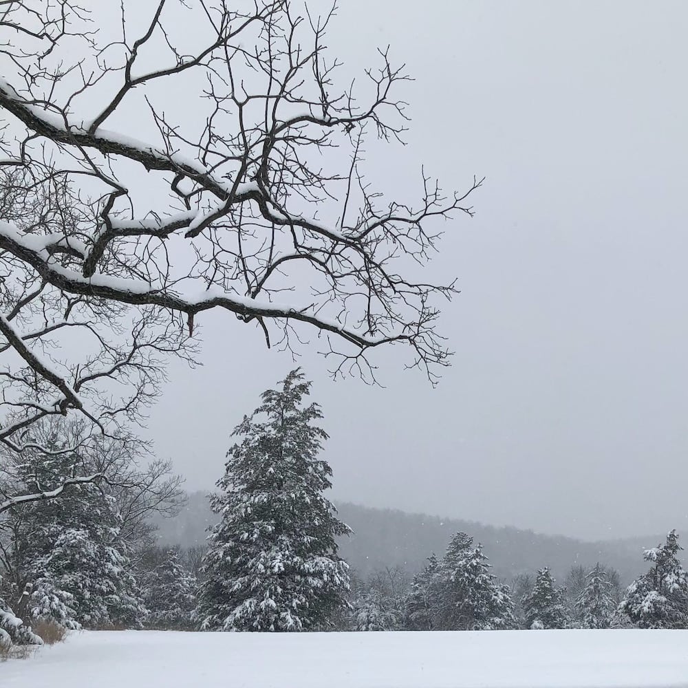 fresh snowfall on mountain scene