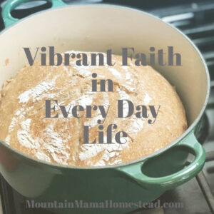 Vibrant Faith in Every Day Life