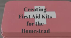 Creating First Aid Kits for the Homestead