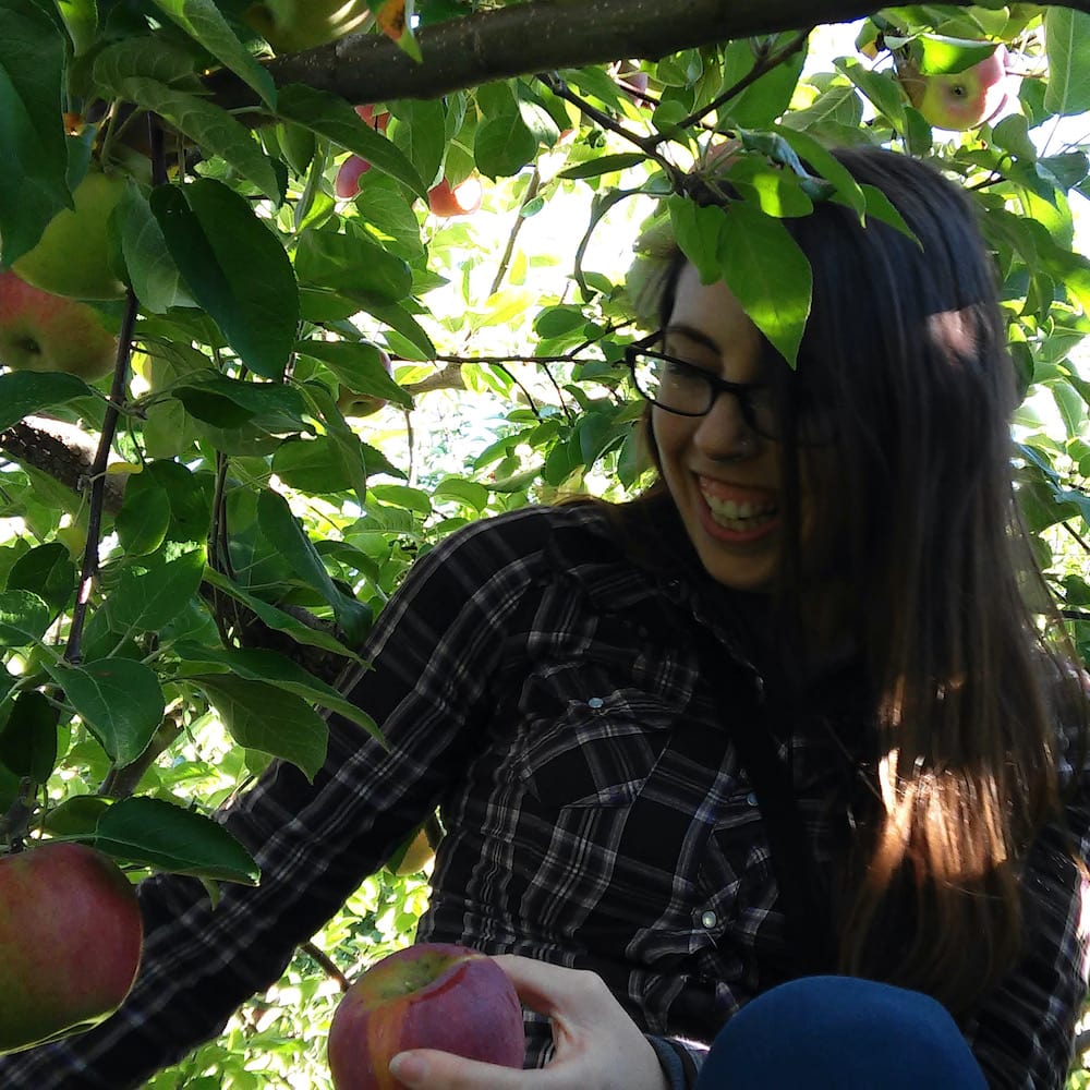girl in tree picking apples