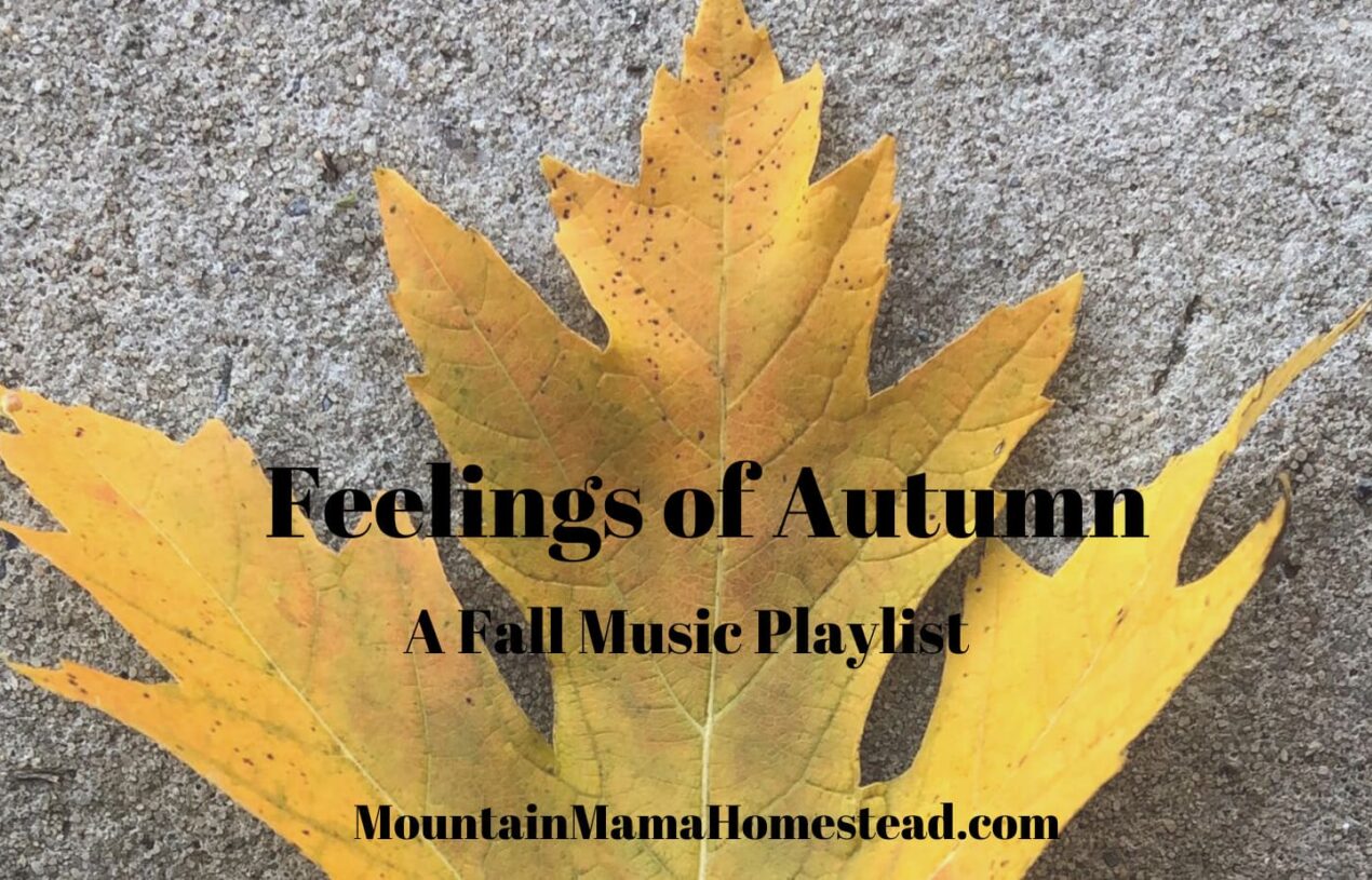 Feelings of Autumn; A Fall Music Playlist