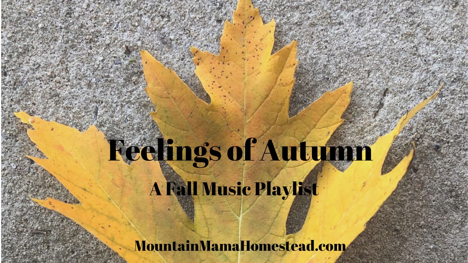 Feelings of Autumn; A Fall Music Playlist - Mountain Mama Homestead