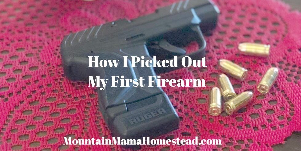 How I Picked Out My First Firearm