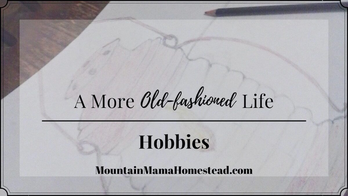 A More Old-Fashioned Life: Hobbies