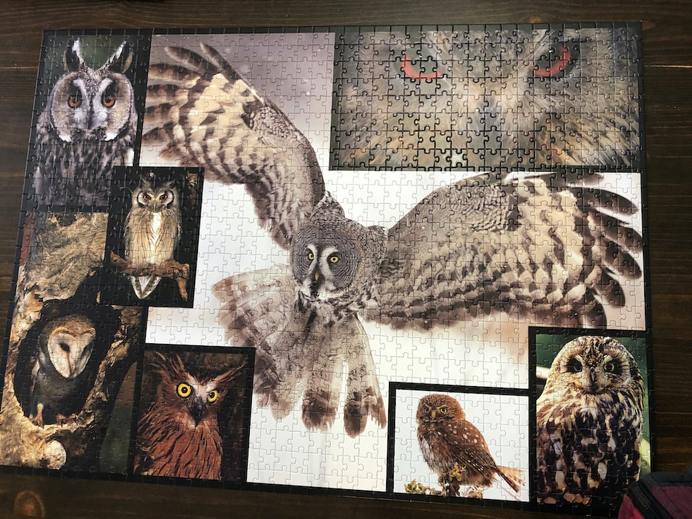 old-fashioned hobbies finished owl puzzle