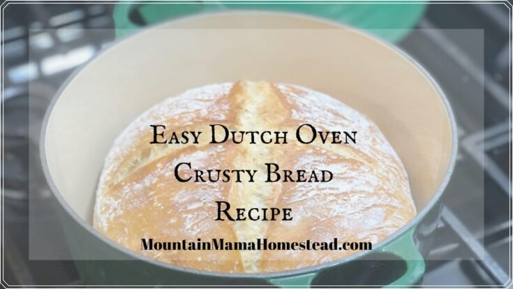 Easy Dutch Oven Crusty Bread Recipe