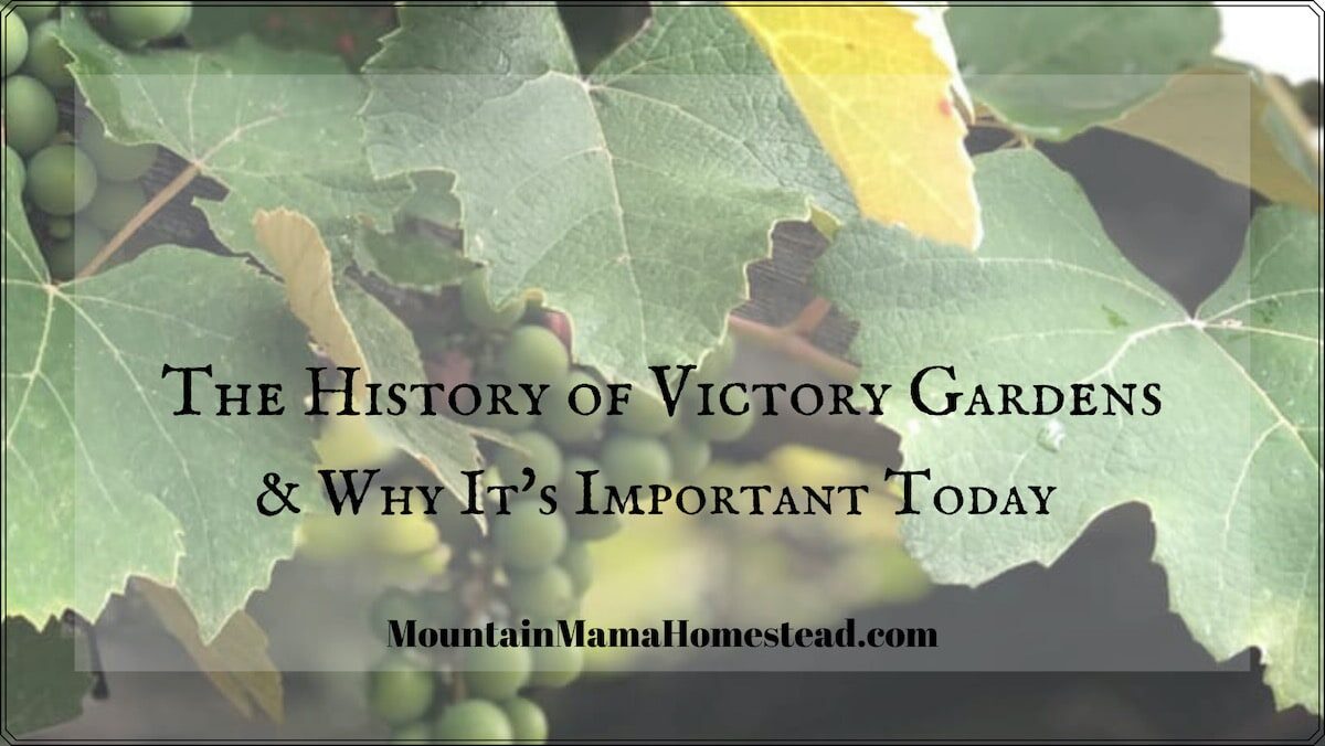 The History of Victory Gardens & Why It’s Important Today